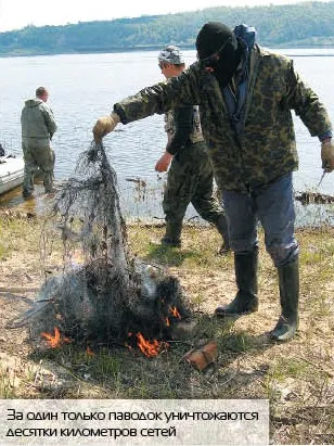 Куди поділася волзький риба