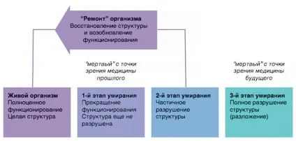 Кріоніка чи є життя після заморозки, журнал популярна механіка (після) Кріоніка чи є життя після заморозки, журнал популярна механіка
