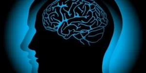 Лабільна психіка, її місце в психології і вплив на нервову систему, симптоми і методи лікування (психології) Лабільна психіка, її місце в психології і вплив на нервову систему, симптоми і методи лікування