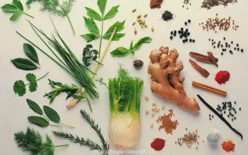 Лікування герпесу народними засобами (лікування) Лікування герпесу народними засобами