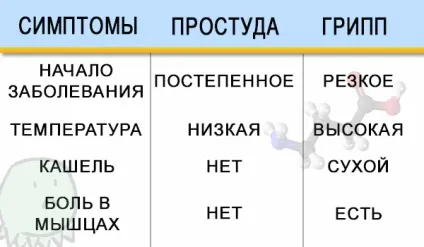 Лікування грипу та застуди, перша допомога при їх появі (грипу) Лікування грипу та застуди, перша допомога при їх появі