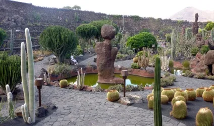 Лансароте острів (lanzarote)