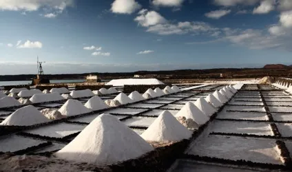 Лансароте острів (lanzarote)