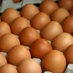 Ливенской кури опис і характеристика породи (обсягами якості кормів) Ливенской кури опис і характеристика породи