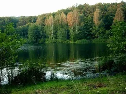 Лосьйон для волосся бабуся Агафія - чи варто купувати (стоїть) Лосьйон для волосся бабуся Агафія - чи варто купувати