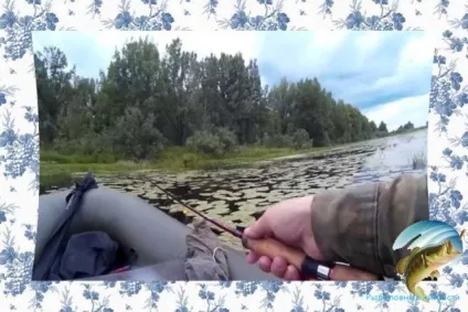 Ловля щуки на озері
