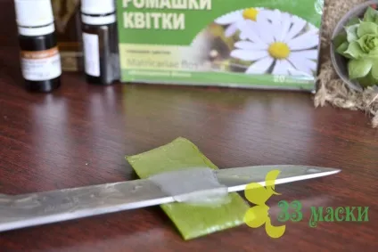 Лосьйон для особи з алое в домашніх умовах кращі рецепти краси, 33 маски