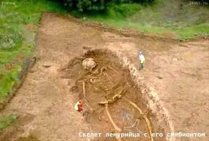 Лемурійци-гіганти - хто вони (датовані ближчим) Лемурійци-гіганти - хто вони