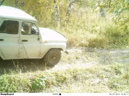 Кращі фотопастки купити у офіційного постачальника фотопасток