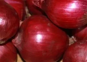 Лук червоний складу, калорійність, користь, рецепти