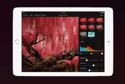 Кращі програми для малювання за допомогою apple pencil на ipad pro, новини iphone, ipad і mac (інструкції) Кращі програми для малювання за допомогою apple pencil на ipad pro, новини iphone, ipad і mac