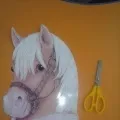 Майстер-клас «конячка на паличці» (конячка) Майстер-клас «конячка на паличці»