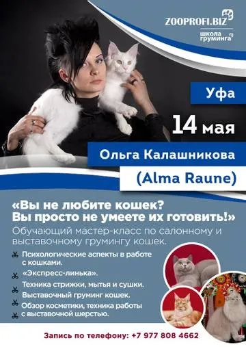 Майстер класи з грумінгу кішок і собак від ольги Калашникова в Уфі! (Собак) Майстер класи з грумінгу кішок і собак від ольги Калашникова в Уфі!