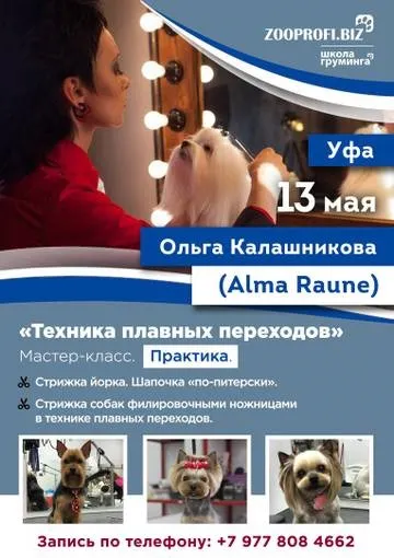 Майстер класи з грумінгу кішок і собак від ольги Калашникова в Уфі! (Майстер) Майстер класи з грумінгу кішок і собак від ольги Калашникова в Уфі!