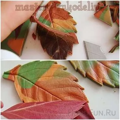 Майстер-клас з ліплення з полімерної глини листя (листя) Майстер-клас з ліплення з полімерної глини листя