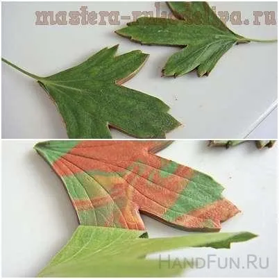 Майстер-клас з ліплення з полімерної глини листя (листя) Майстер-клас з ліплення з полімерної глини листя