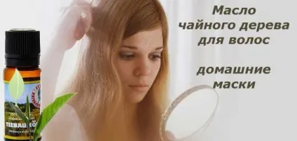 Масло чайного дерева для волосся застосування, маски, користь (волосся) Масло чайного дерева для волосся застосування, маски, користь