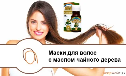 Маски для волосся з маслом чайного дерева відновлення і харчування (дерева) Маски для волосся з маслом чайного дерева відновлення і харчування
