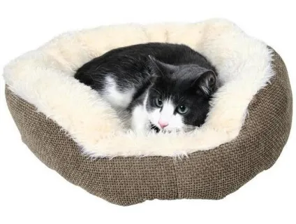 Меблі для кішки - корисні поради