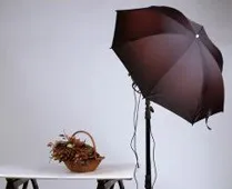Принцип роботи фотозонтов (фотосайт) Принцип роботи фотозонтов