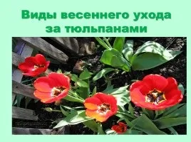 Презентація - ринок, його функції та види (функції) Презентація - ринок, його функції та види