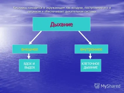 Презентація на тему презентація проекту групи дихання як ми дихаємо (тему) Презентація на тему презентація проекту групи дихання як ми дихаємо