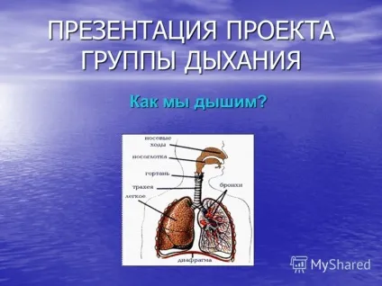 Презентація на тему презентація проекту групи дихання як ми дихаємо (групи) Презентація на тему презентація проекту групи дихання як ми дихаємо
