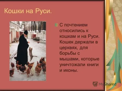 Презентація на тему світ домашніх кішок презентацію підготувала учениця 1 - б - класу Косінова (тему) Презентація на тему світ домашніх кішок презентацію підготувала учениця 1 - б - класу Косінова