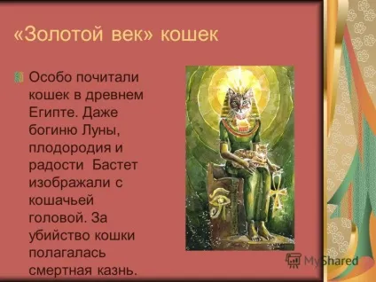 Презентація на тему світ домашніх кішок презентацію підготувала учениця 1 - б - класу Косінова (підготувала) Презентація на тему світ домашніх кішок презентацію підготувала учениця 1 - б - класу Косінова