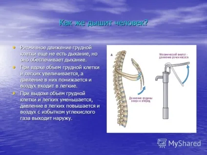 Презентація на тему презентація проекту групи дихання як ми дихаємо (тему) Презентація на тему презентація проекту групи дихання як ми дихаємо