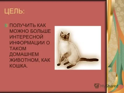 Презентація на тему світ домашніх кішок презентацію підготувала учениця 1 - б - класу Косінова (підготувала) Презентація на тему світ домашніх кішок презентацію підготувала учениця 1 - б - класу Косінова