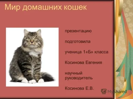Презентація на тему світ домашніх кішок презентацію підготувала учениця 1 - б - класу Косінова (презентація) Презентація на тему світ домашніх кішок презентацію підготувала учениця 1 - б - класу Косінова