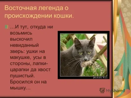 Презентація на тему світ домашніх кішок презентацію підготувала учениця 1 - б - класу Косінова (світ домашніх кішок презентацію підготувала учениця 1 «б» класу Косінова євгенія науковий керівник Косінова Є.В.) Презентація на тему світ домашніх кішок презентацію підготувала учениця 1 - б - класу Косінова