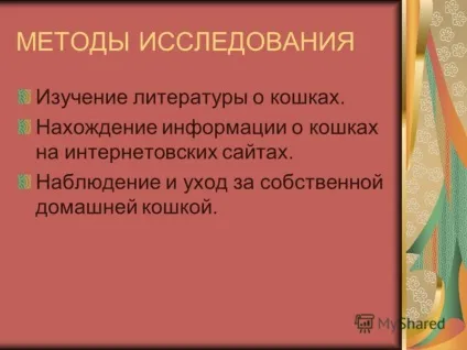 Презентація на тему світ домашніх кішок презентацію підготувала учениця 1 - б - класу Косінова (кішок) Презентація на тему світ домашніх кішок презентацію підготувала учениця 1 - б - класу Косінова