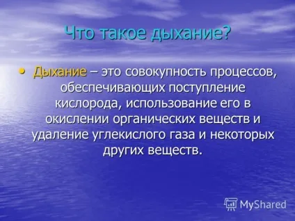 Презентація на тему презентація проекту групи дихання як ми дихаємо (презентація) Презентація на тему презентація проекту групи дихання як ми дихаємо