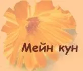 Мейн кун - порода для собачників (порода) Мейн кун - порода для собачників