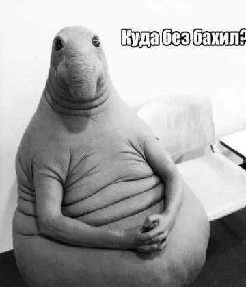 Мем - ждунов - це будь-яка людина будь-якої професії в одній особі (будь-який) Мем - ждунов - це будь-яка людина будь-якої професії в одній особі