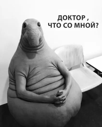Мем - ждунов - це будь-яка людина будь-якої професії в одній особі (людина) Мем - ждунов - це будь-яка людина будь-якої професії в одній особі