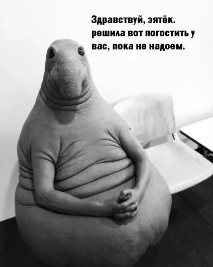 Мем - ждунов - це будь-яка людина будь-якої професії в одній особі (ждунов) Мем - ждунов - це будь-яка людина будь-якої професії в одній особі