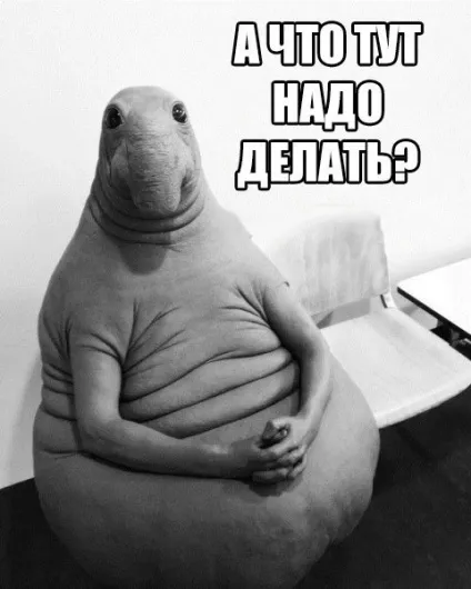 Мем - ждунов - це будь-яка людина будь-якої професії в одній особі (людина) Мем - ждунов - це будь-яка людина будь-якої професії в одній особі