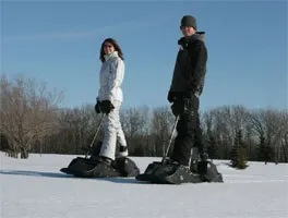Мотосноуборд powerboard (продаж мотоциклів) Мотосноуборд powerboard