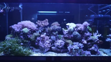 Море своїми руками
