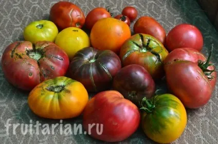 Мій найулюбленіший продукт - українські помідори (українські) Мій найулюбленіший продукт - українські помідори
