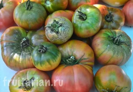 Мій найулюбленіший продукт - українські помідори (улюблений) Мій найулюбленіший продукт - українські помідори