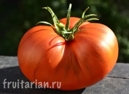 Мій найулюбленіший продукт - українські помідори (улюблений) Мій найулюбленіший продукт - українські помідори