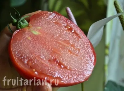 Мій найулюбленіший продукт - українські помідори (улюблений) Мій найулюбленіший продукт - українські помідори