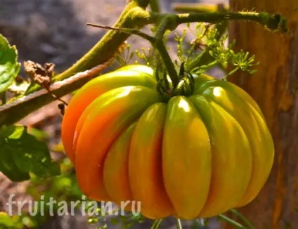 Мій найулюбленіший продукт - українські помідори (продукт) Мій найулюбленіший продукт - українські помідори