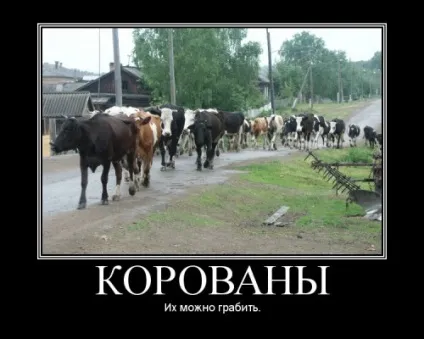 Можна грабувати коровани, netlore nomad, Сміла Горячев, Номад, геймдевелопмент, ігрові меми, (Номад) Можна грабувати коровани, netlore nomad, Сміла Горячев, Номад, геймдевелопмент, ігрові меми,