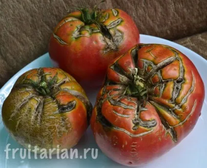 Мій найулюбленіший продукт - українські помідори (самий) Мій найулюбленіший продукт - українські помідори
