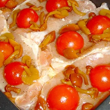 Чи можна смажити опеньки з помідорами на зиму рецепти приготування грибів з томатами (смажити) Чи можна смажити опеньки з помідорами на зиму рецепти приготування грибів з томатами